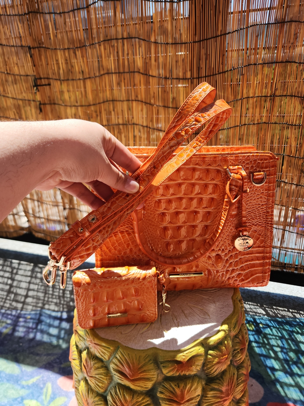 Assorted Purse Bundle - Picture 4 of 6